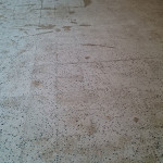 Loungers – Terrazzo floor renovation